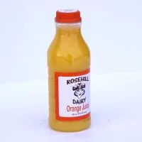 Disposable Orange Juice Pt